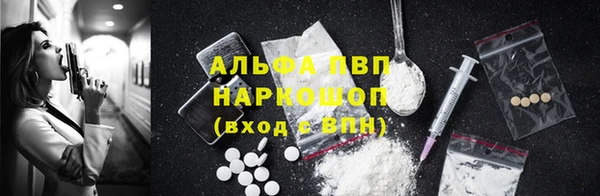 винт Абаза