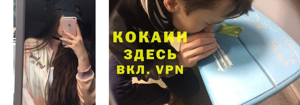 винт Абаза