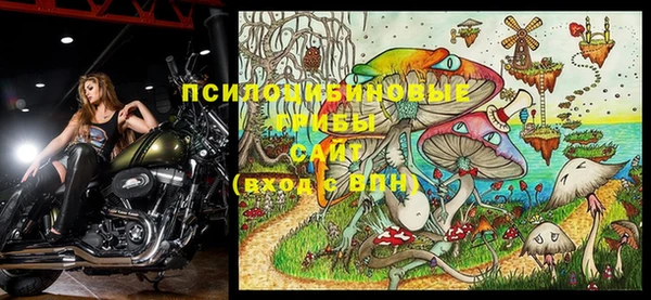 винт Абаза