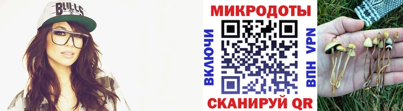 Галлюциногенные грибы мухоморы  Норильск 